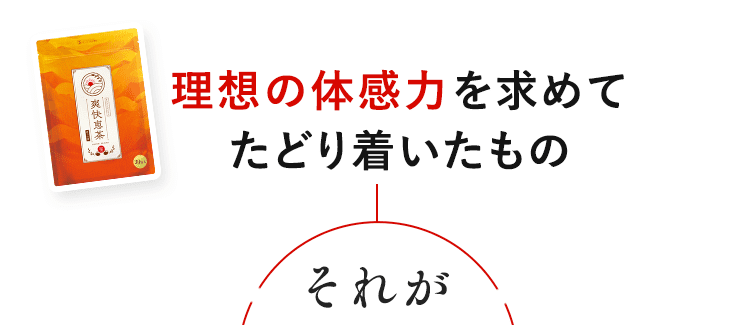 体感力を求めて