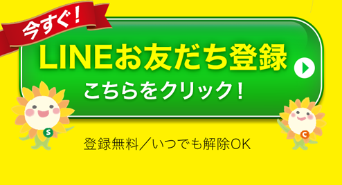 BIDAI特別セット