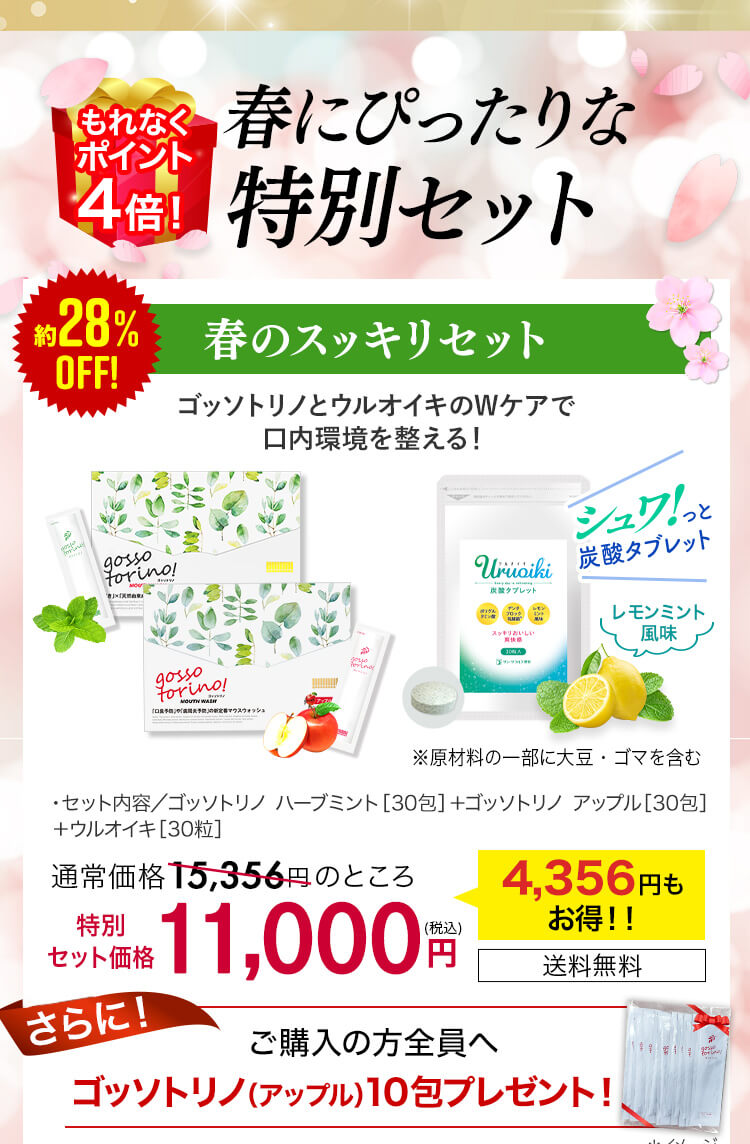 春の特別セット