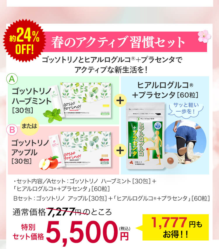 春の特別セット