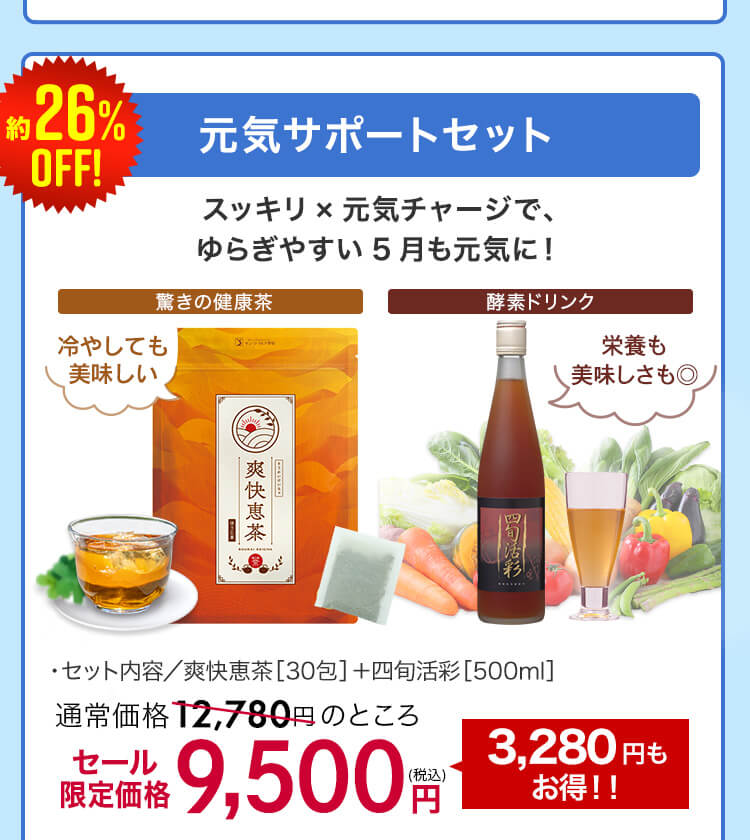 元気サポートセット
