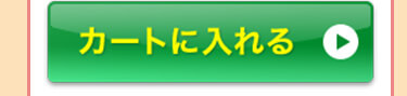 BIDAIスムースフィットプライマーをカートに入れる