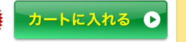 BIDAIスムースフィットプライマーをカートに入れる
